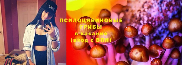 гидра Дмитриев