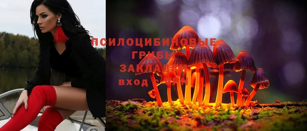 соль курить ск Дмитровск