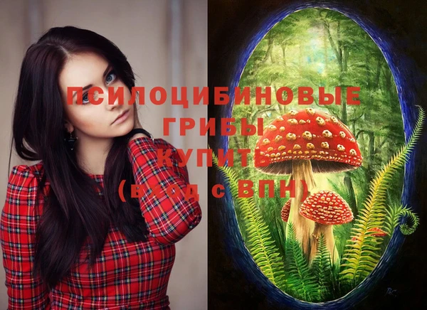 герыч Дмитров