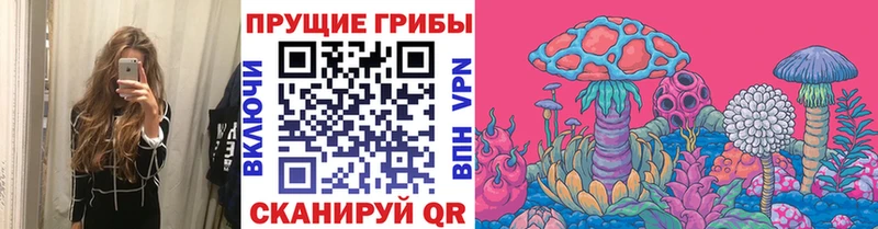 Псилоцибиновые грибы прущие грибы  Купить  Карпинск 